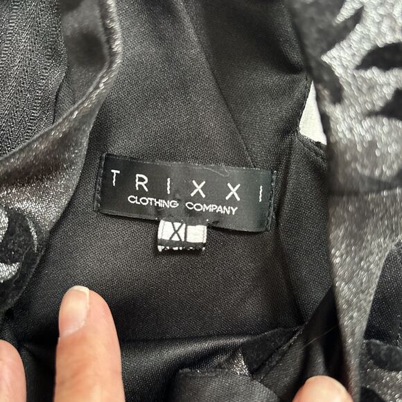 Fairygoth Silver And Black dress Velvet Design Fit and Flare Whimsigoth SZ XL - Picture 12 of 12